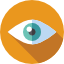 Vision
